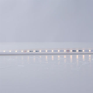 Domus Plex-Smd 5W P/M Strip 24V Cri90 Ip66 1M