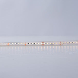 Domus Plex-Smd 9W P/M Strip 24V Cri90 Ip67 1M