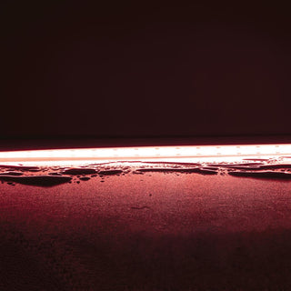 Domus Plex Vivid 15W P/M Cob Strip 24V Cri90 Ip67 640LED/M 1M