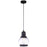 Cardho 1Light Clear Glass Pendant by VM Lighting