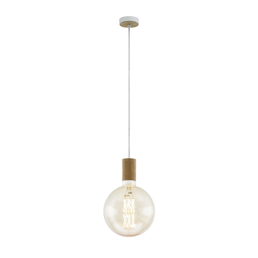 Eglo Lighting TAVISTOCK pendant light Pair with an LED filament globe