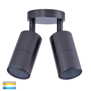 Havit HV1375T-HV1377T Tivah Solid Brass Graphite Coloured TRI Colour Double Adjustable Wall Pillar Lights