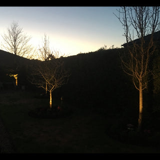 SAL Outdoor  LED Spike Light  SL7266 6W