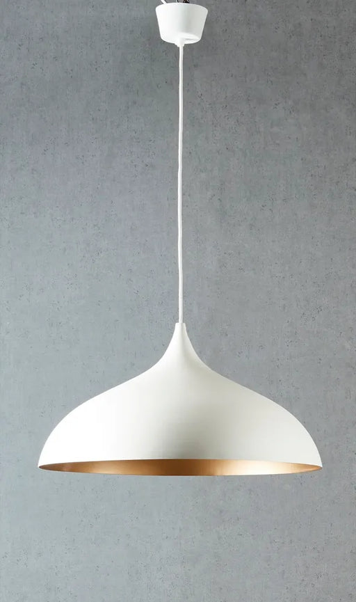 Large oval pendant light deals
