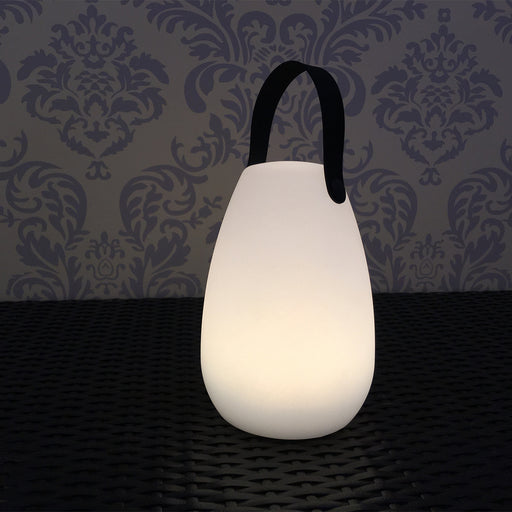 Lexi LED Table Lamp with handle