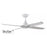 Ventair SKYFAN 4 1200mm DC Ceiling Fan with Remote